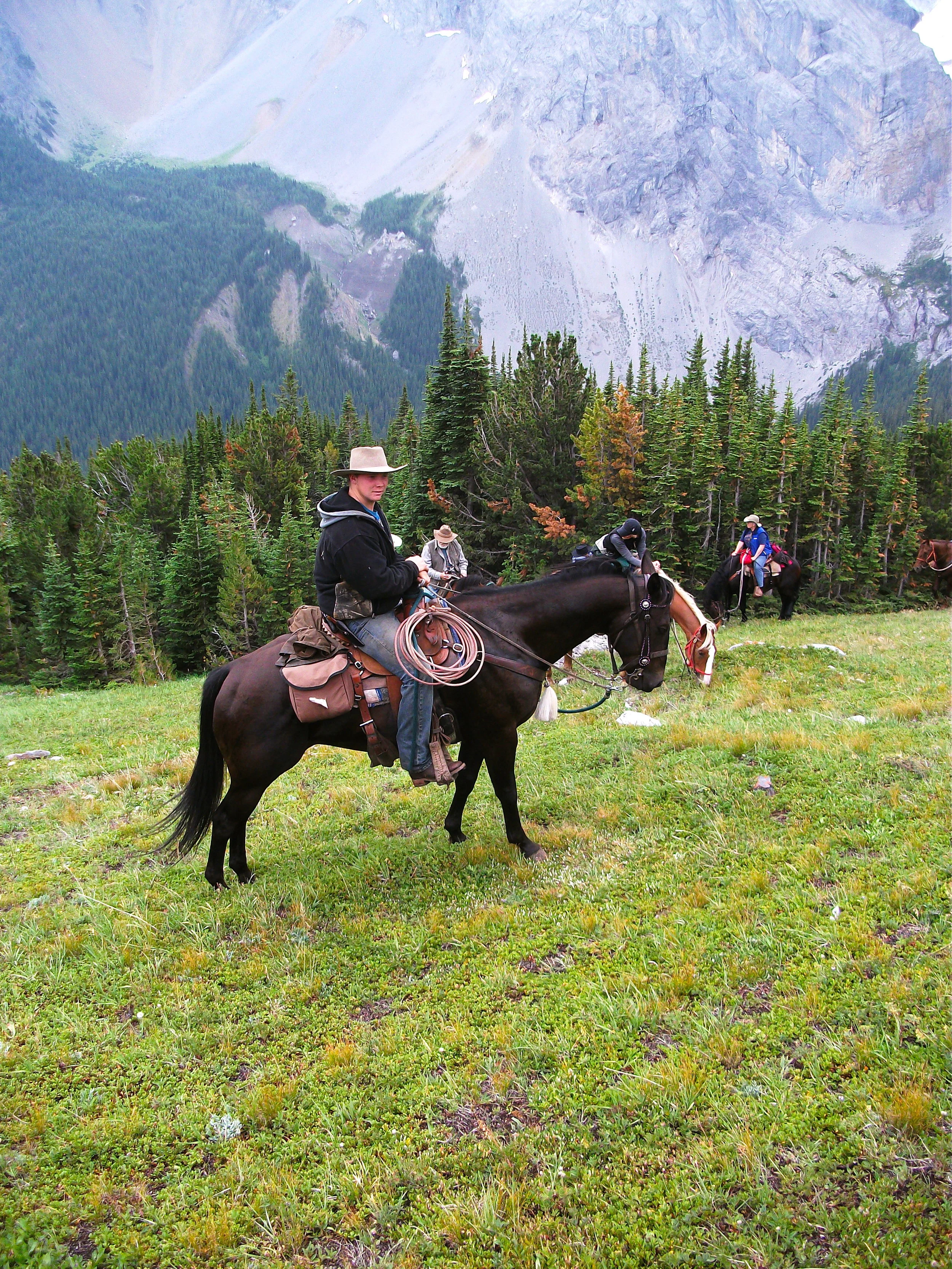 Hollywood in Mountains