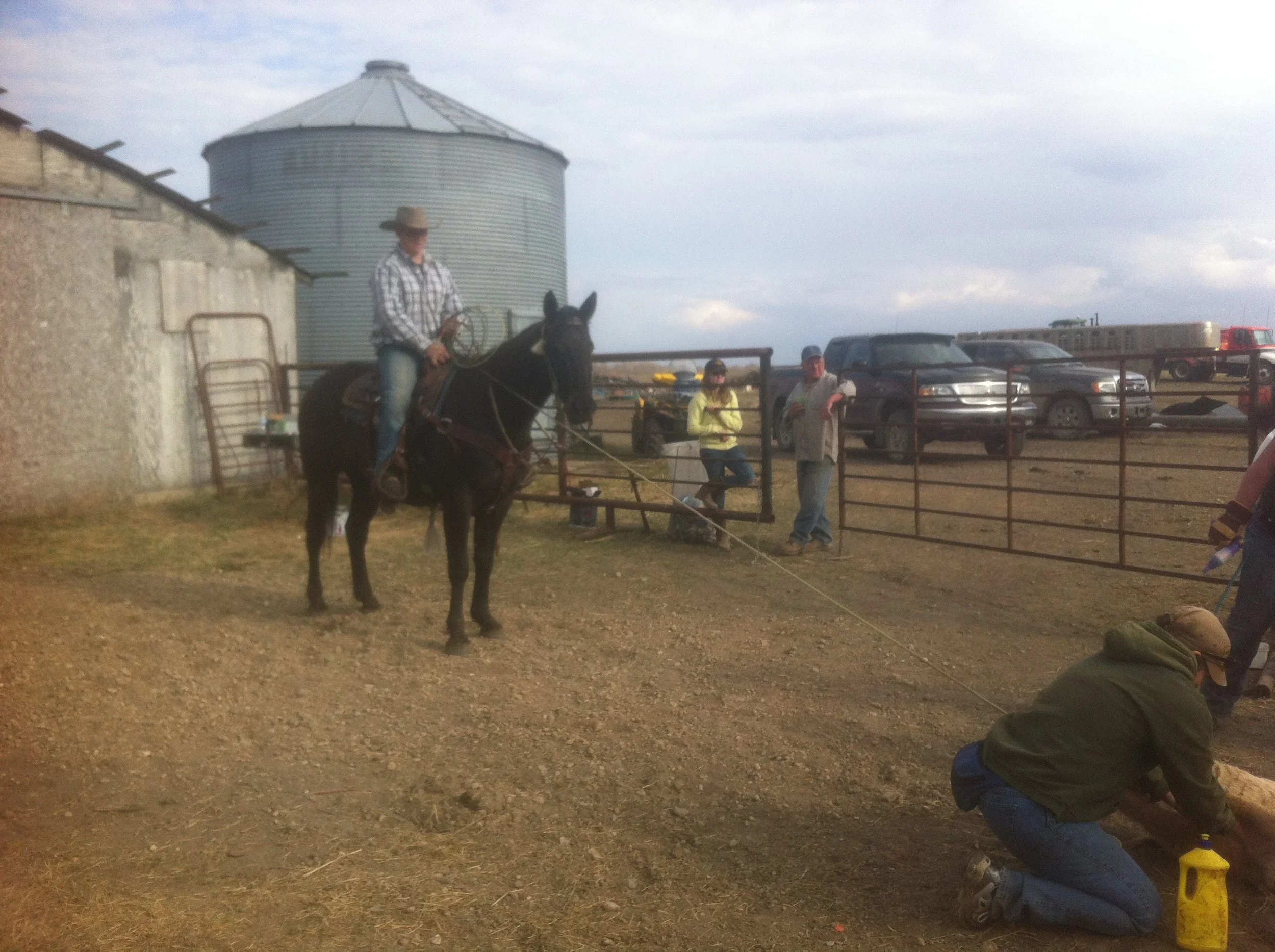 Hollywood - set of Heartland