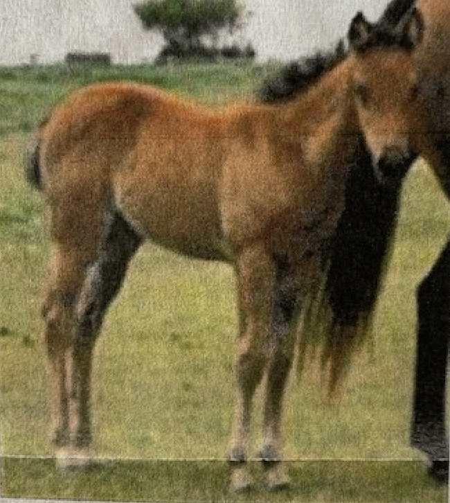 Screen Shot 2021-05-03 at 12.26.26 PM.png