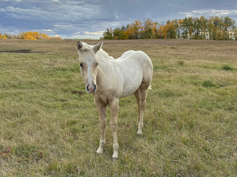 Whatever it is, the way you tell your story online can make all the difference.