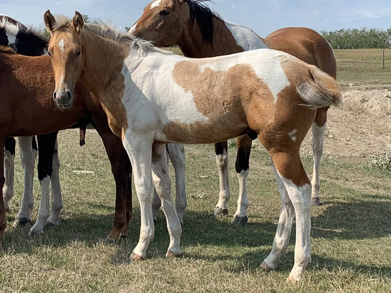 Whatever it is, the way you tell your story online can make all the difference.