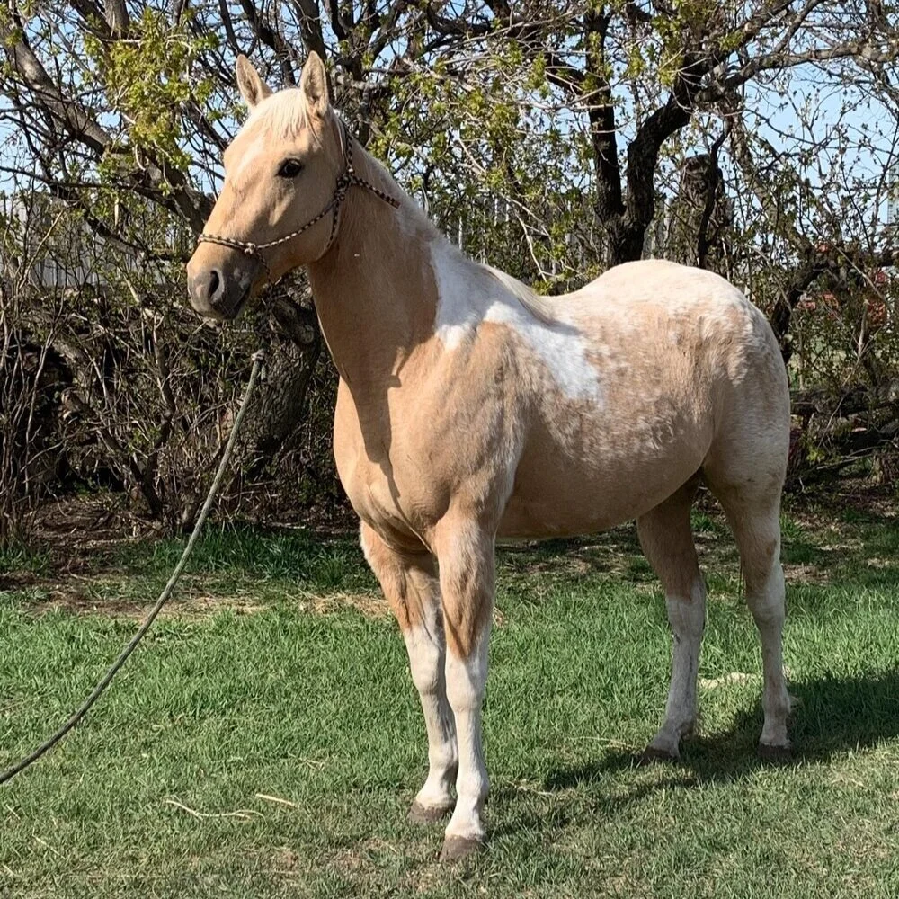 Whatever it is, the way you tell your story online can make all the difference.