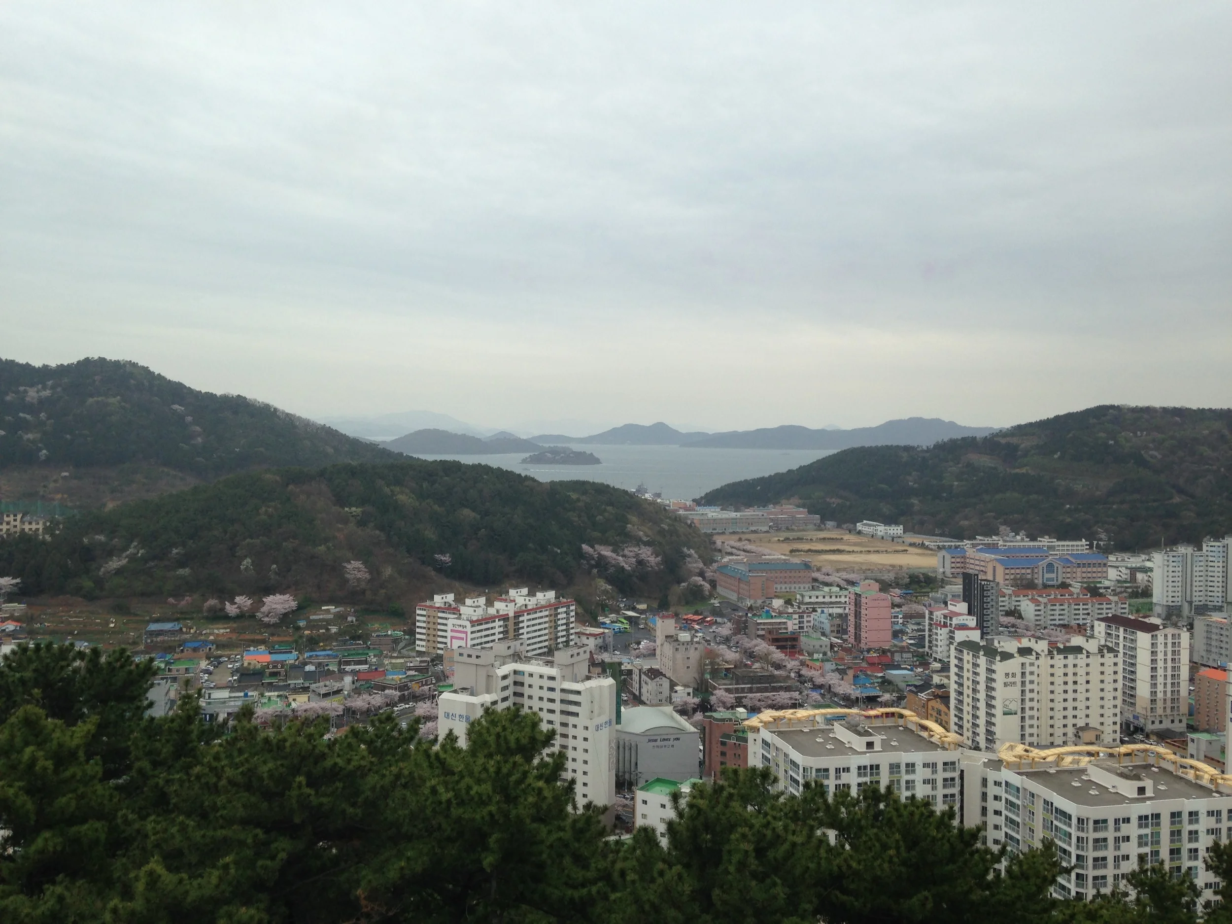IMG_3549.JPG