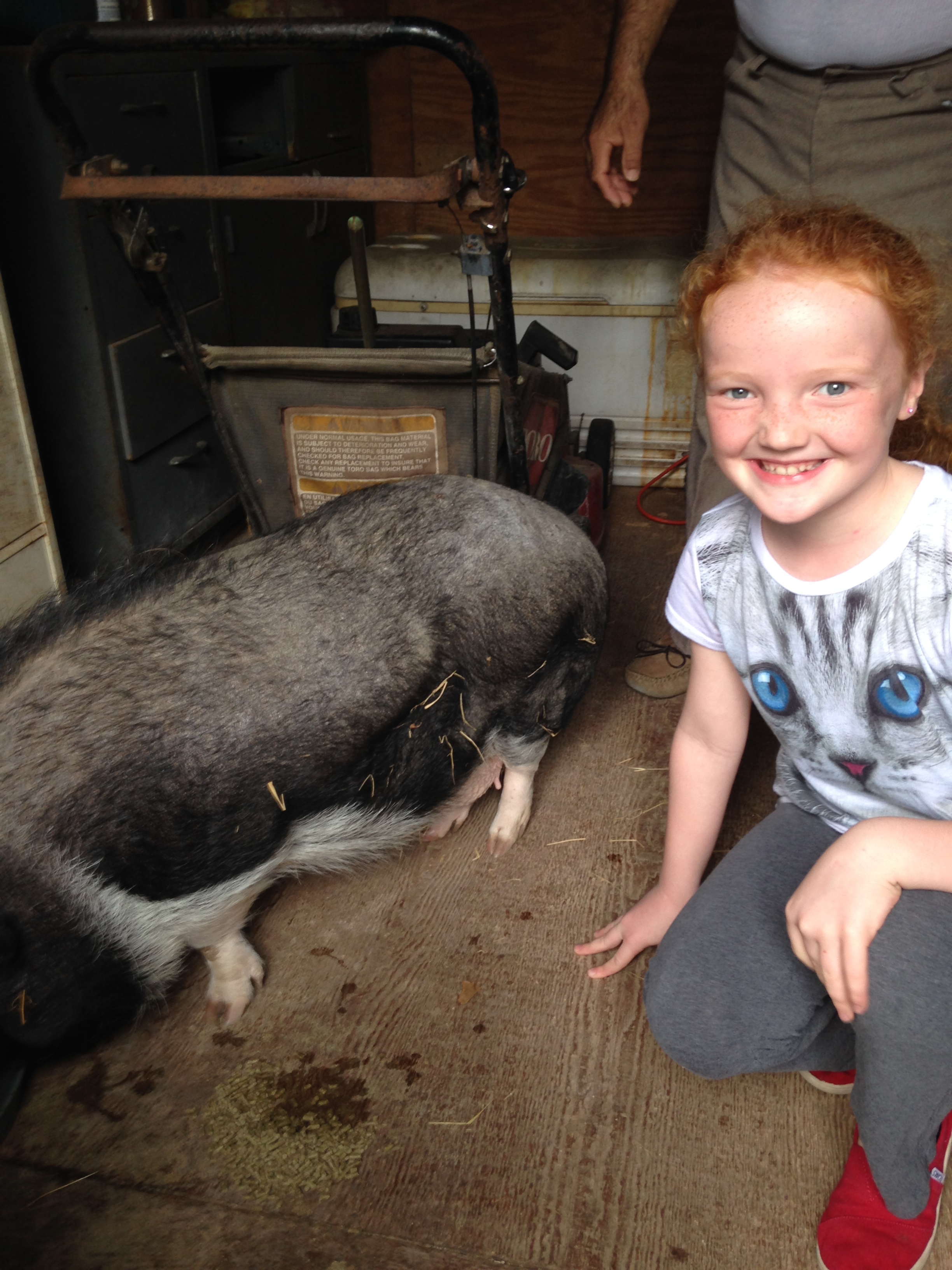  Our niece Sydney with our grandparents neighbors pet pig 