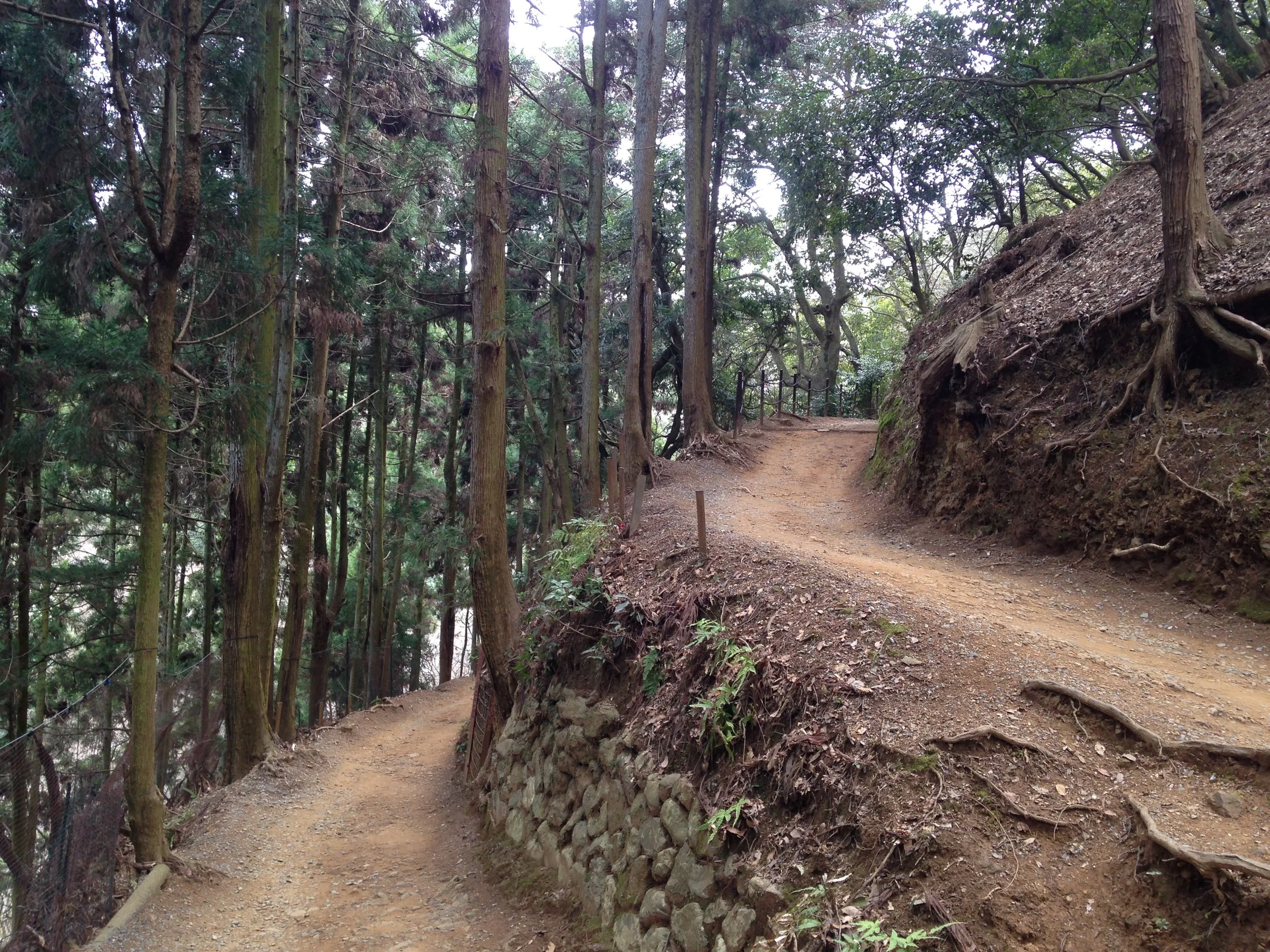 A trail in the woods near Osaka during our trip to Japan. 