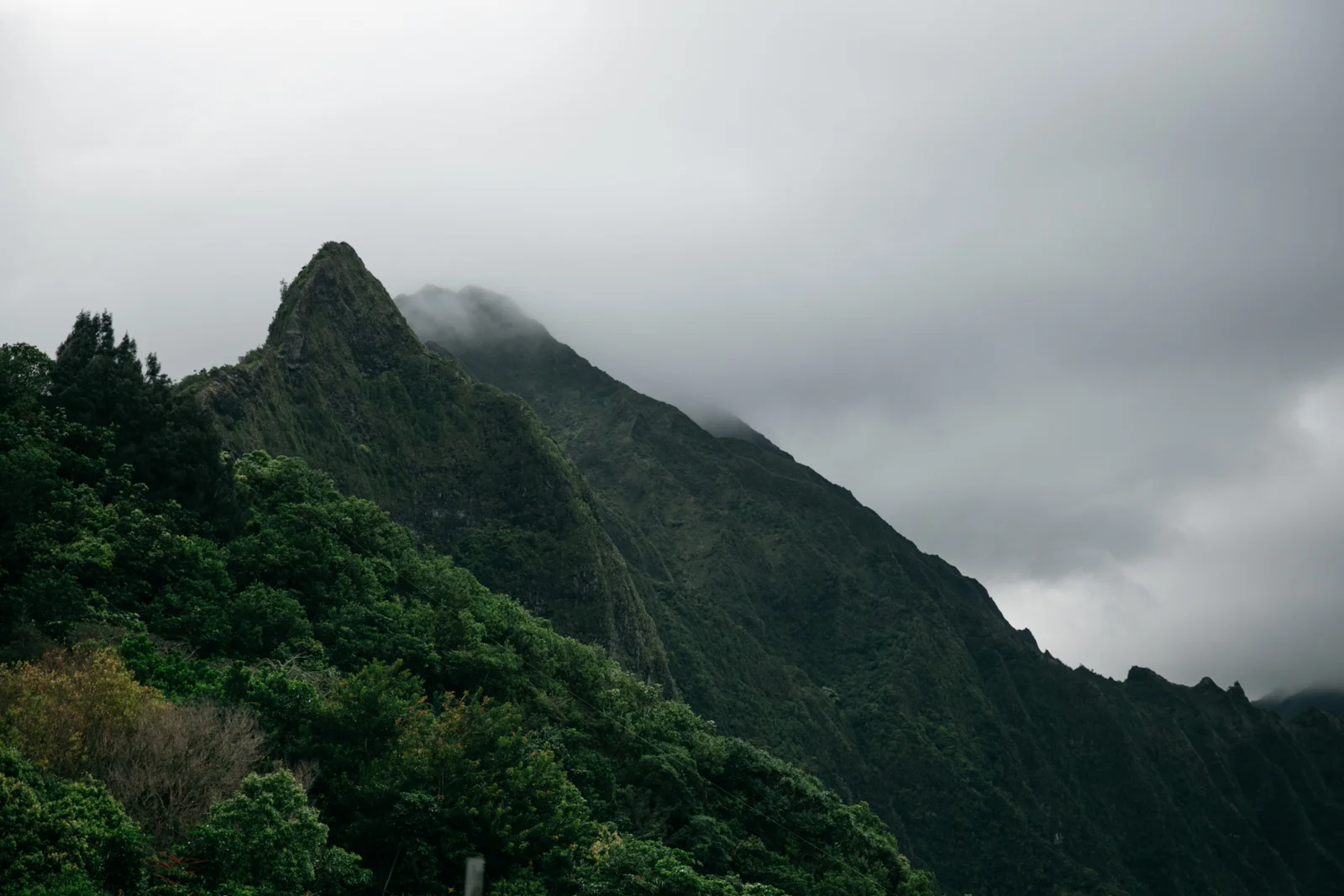 Hawaii-124.jpg