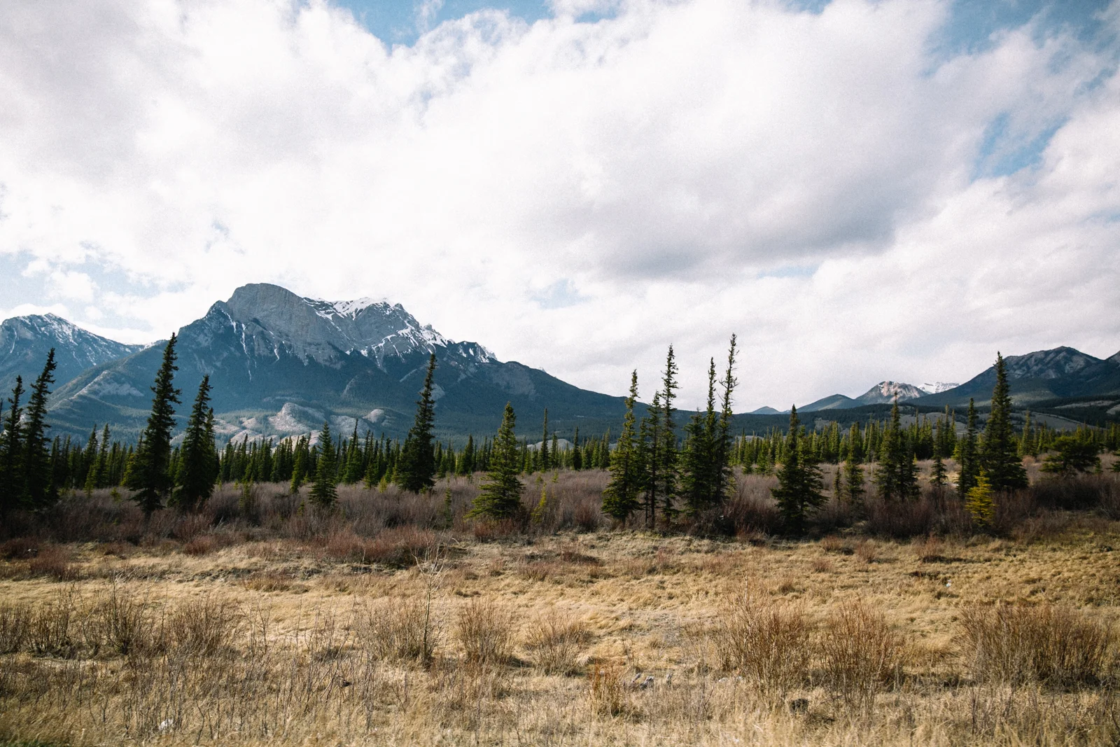 Jasper-14.jpg