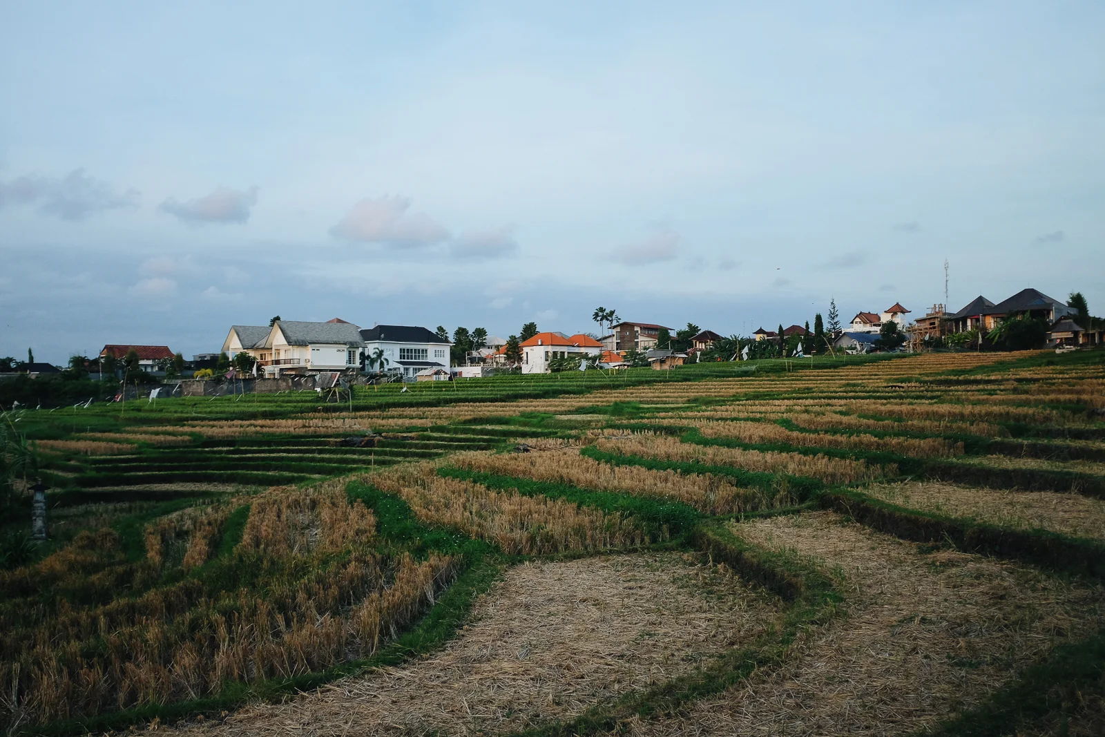 Bali-11.jpg
