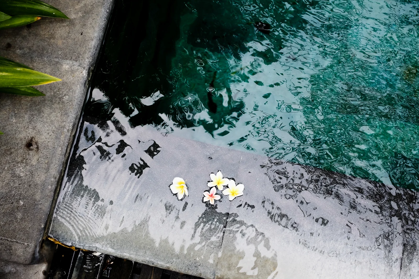 Bali-39.jpg