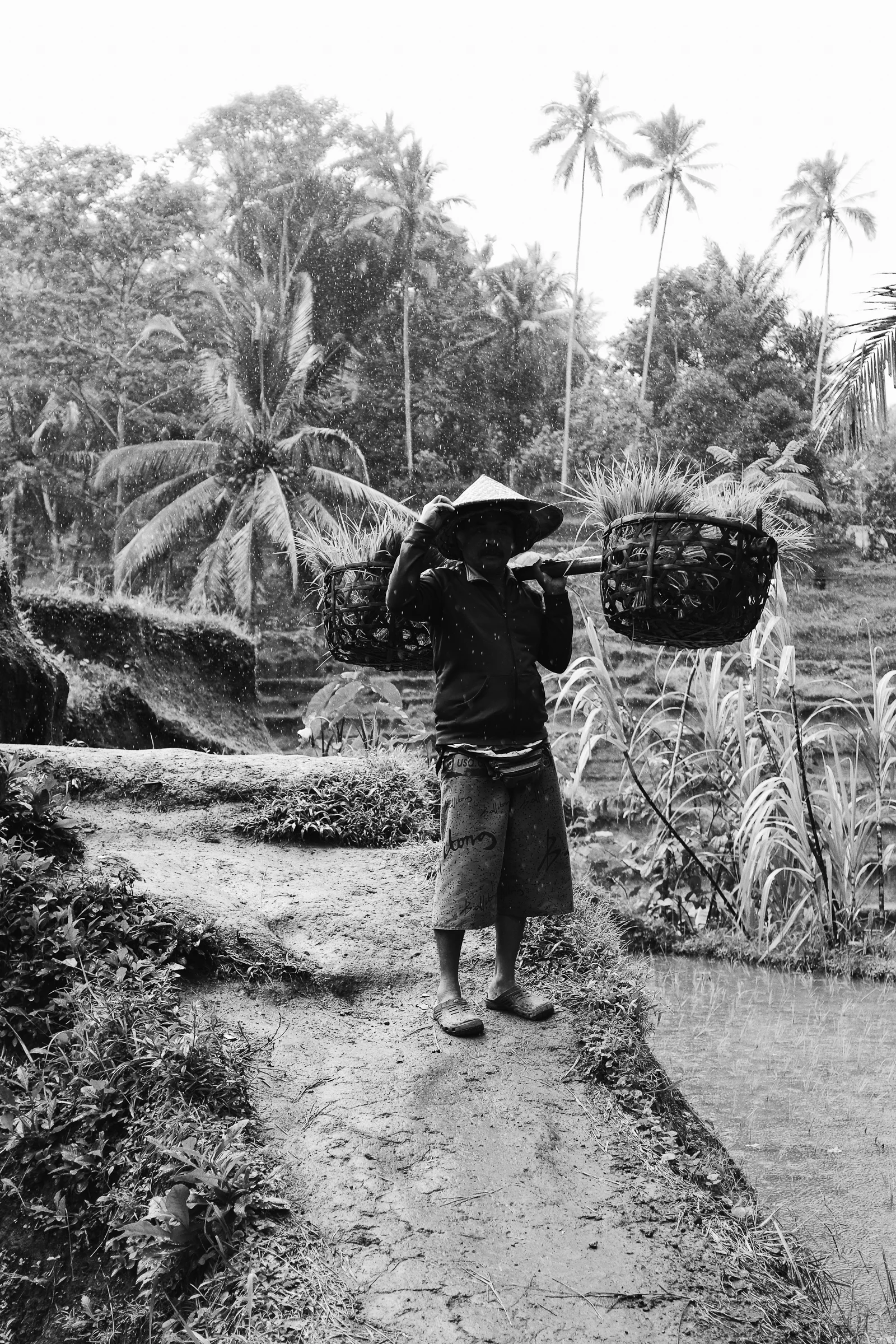 Bali-108.jpg
