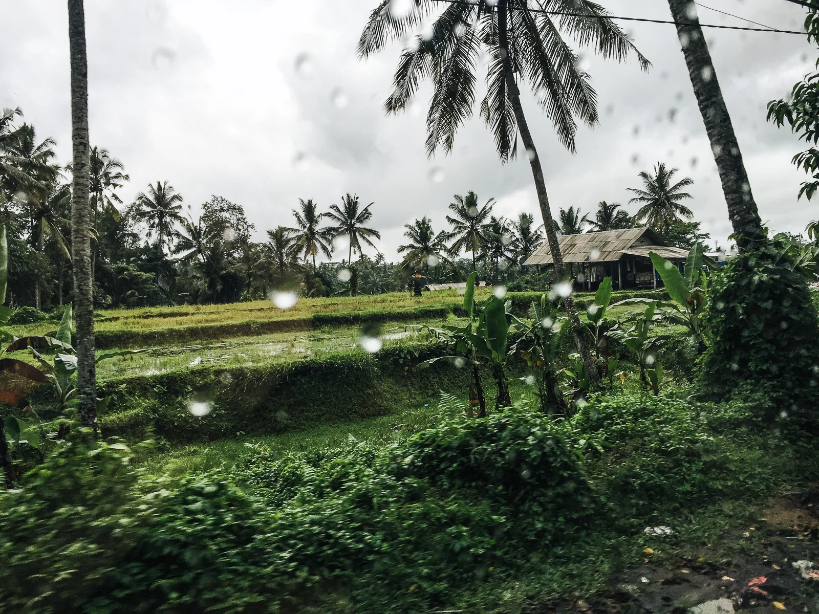 Bali-110.jpg