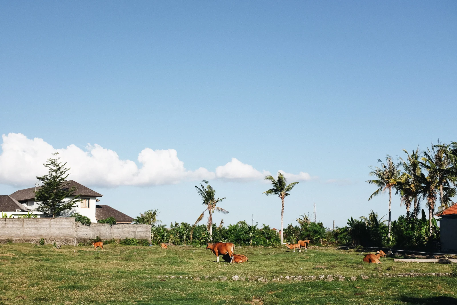 Bali-217.jpg