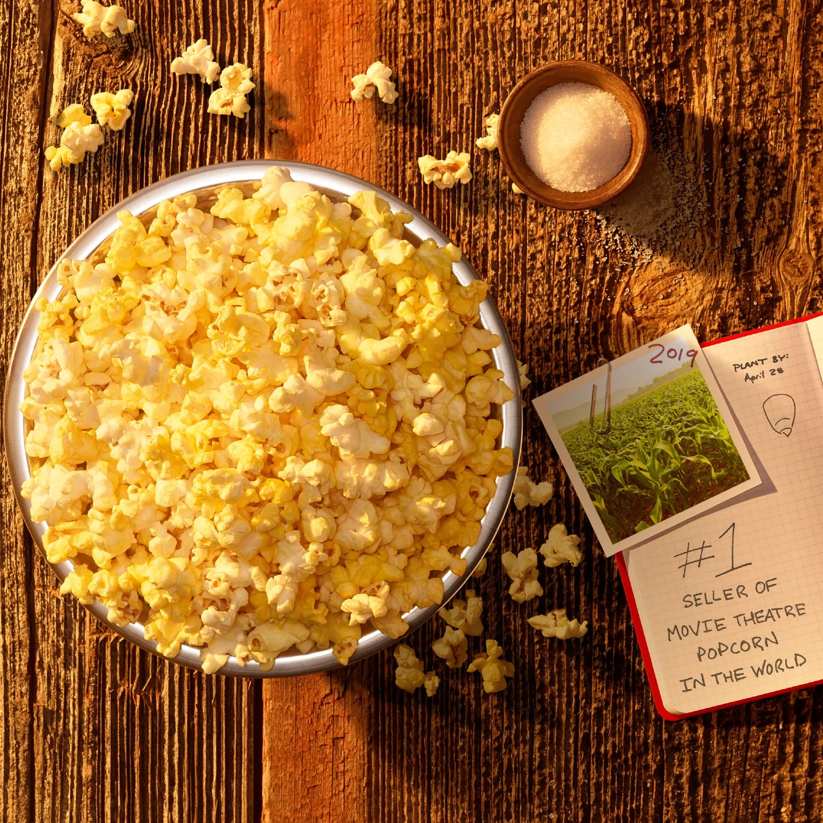 FB_1358_PopcornBrandStory_BOXB_2-2.jpg