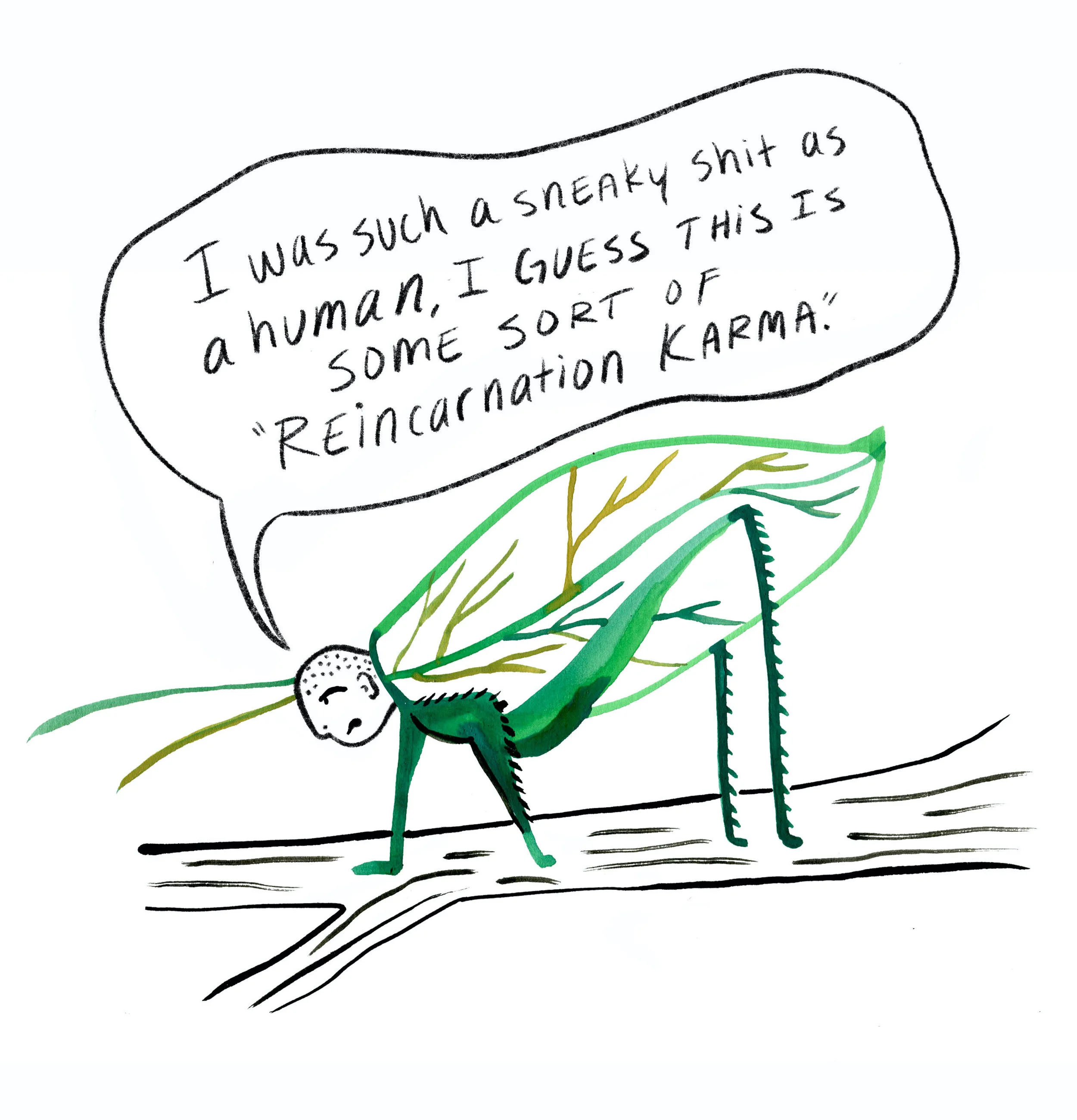 leafbug.jpg