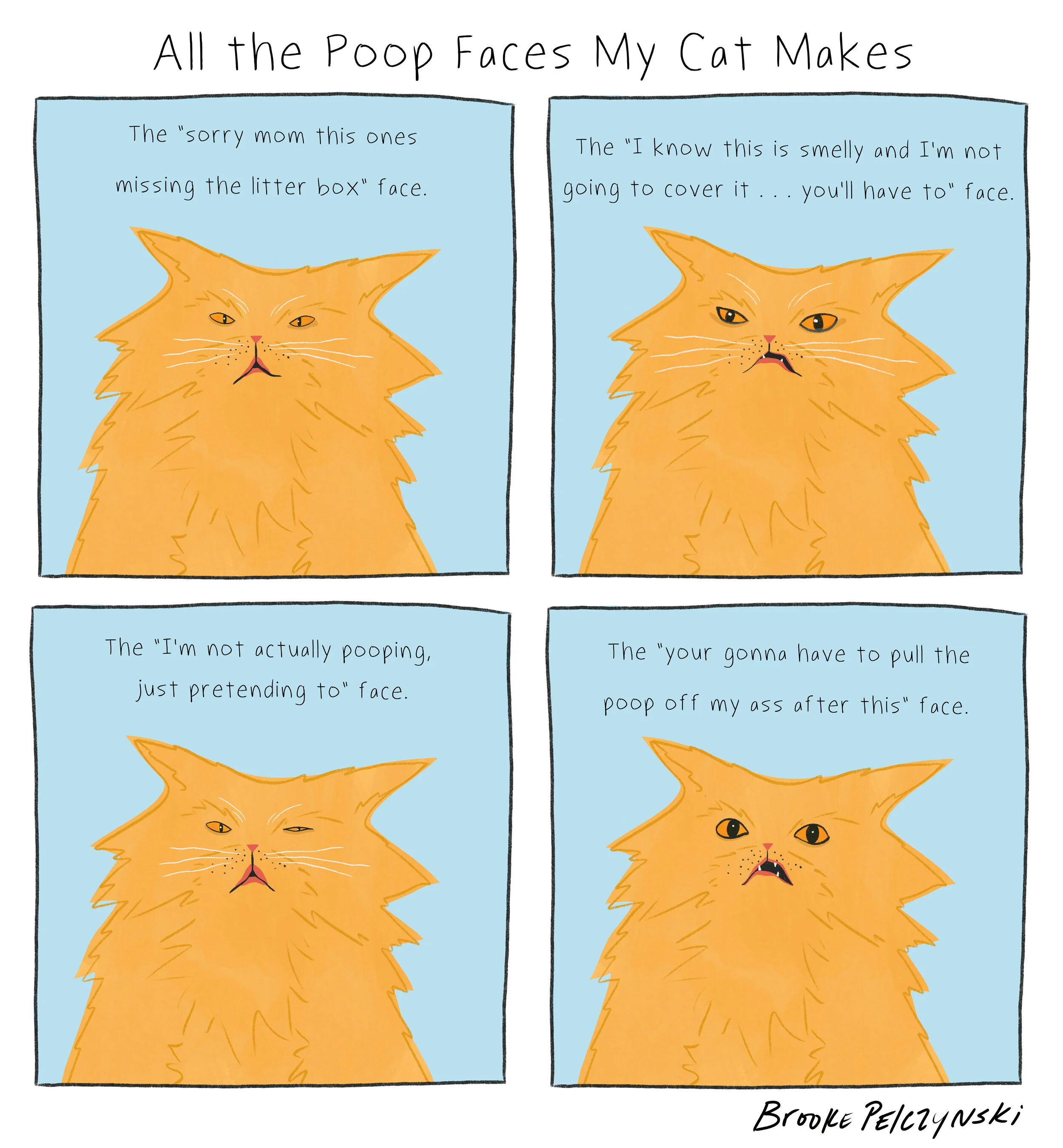 poopface5.jpg