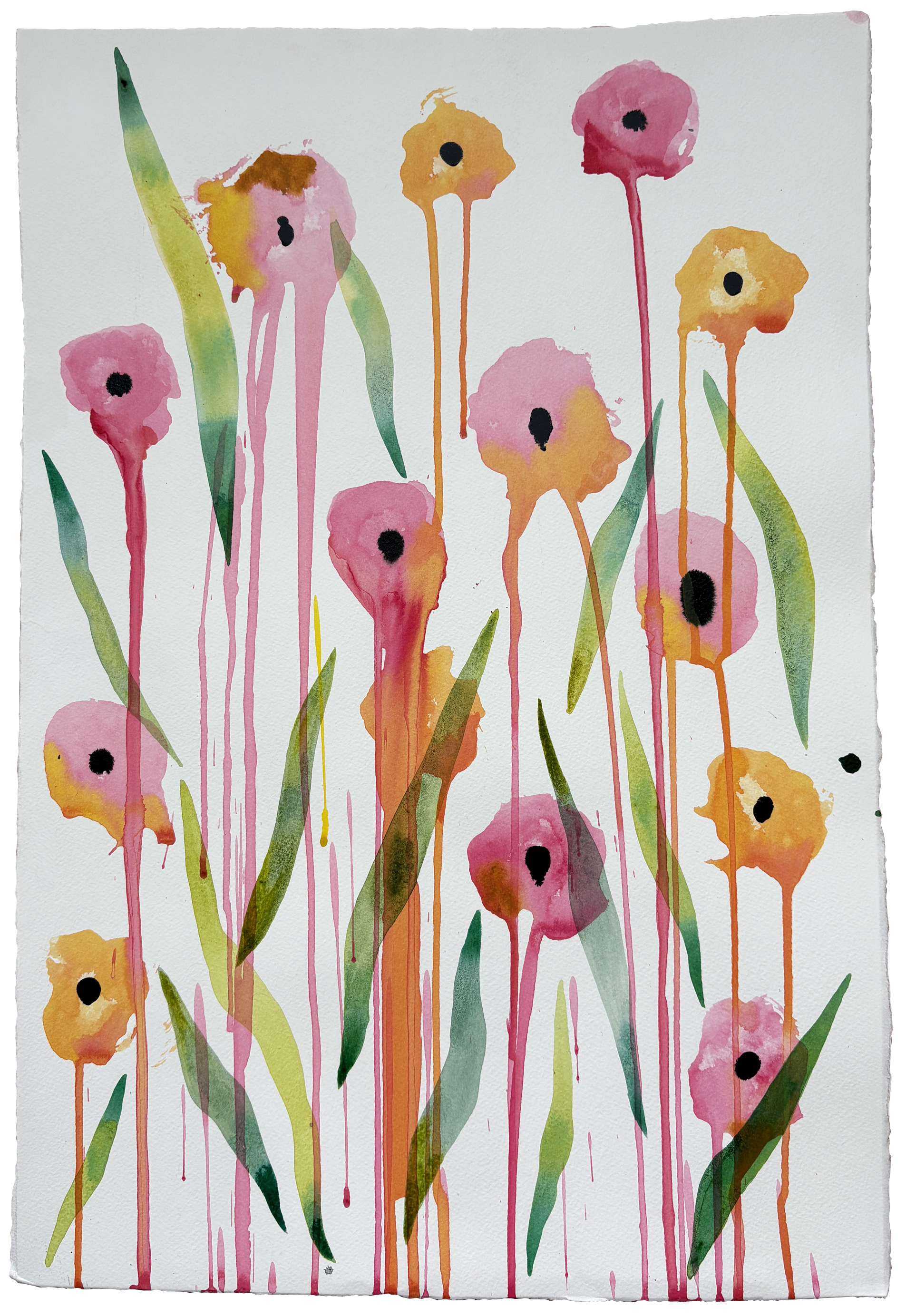 "Melting Poppies" 15x22.25" on cold press Fabriano Artistico watercolor paper  
