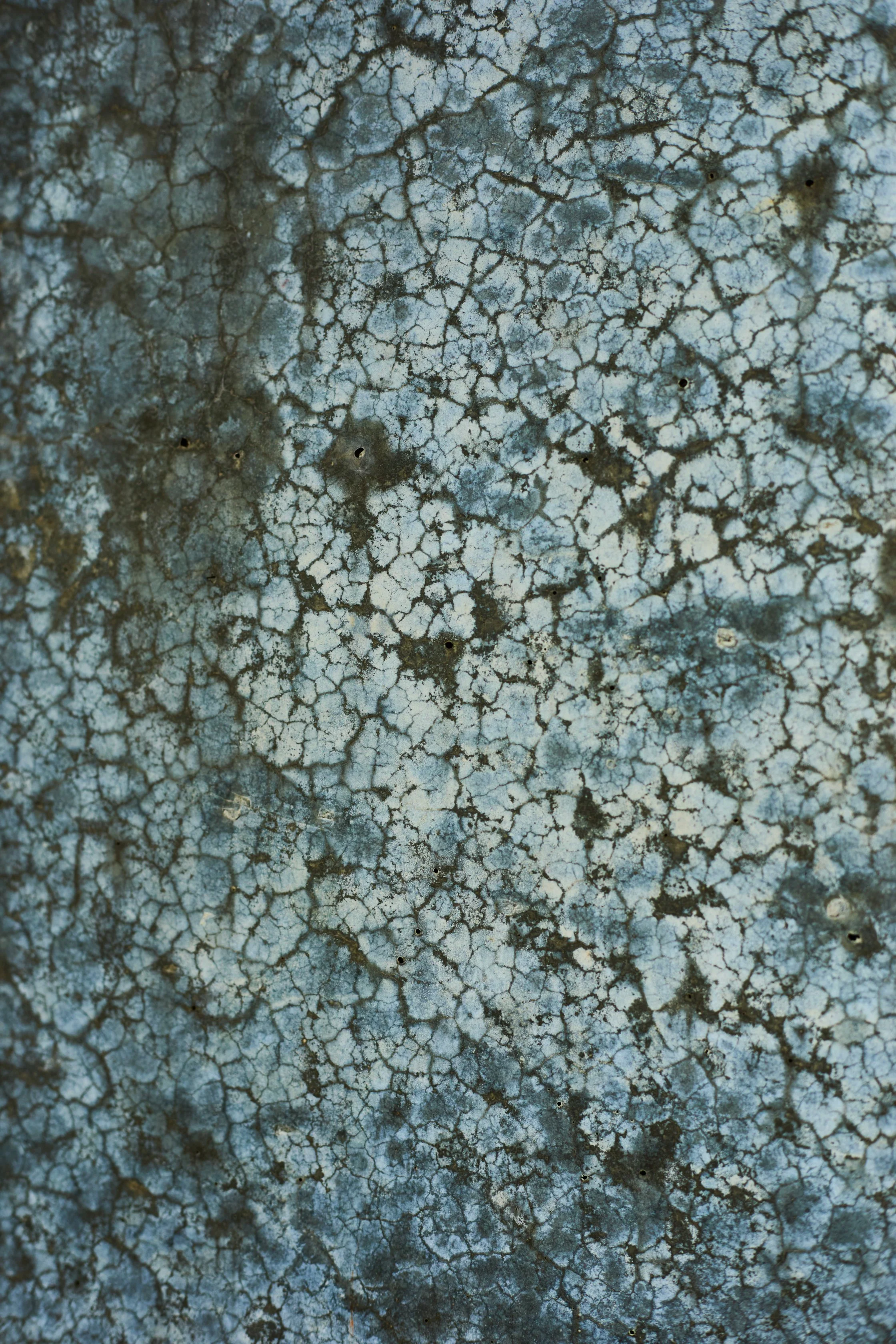DevWa0H3A9063_ 1.jpg