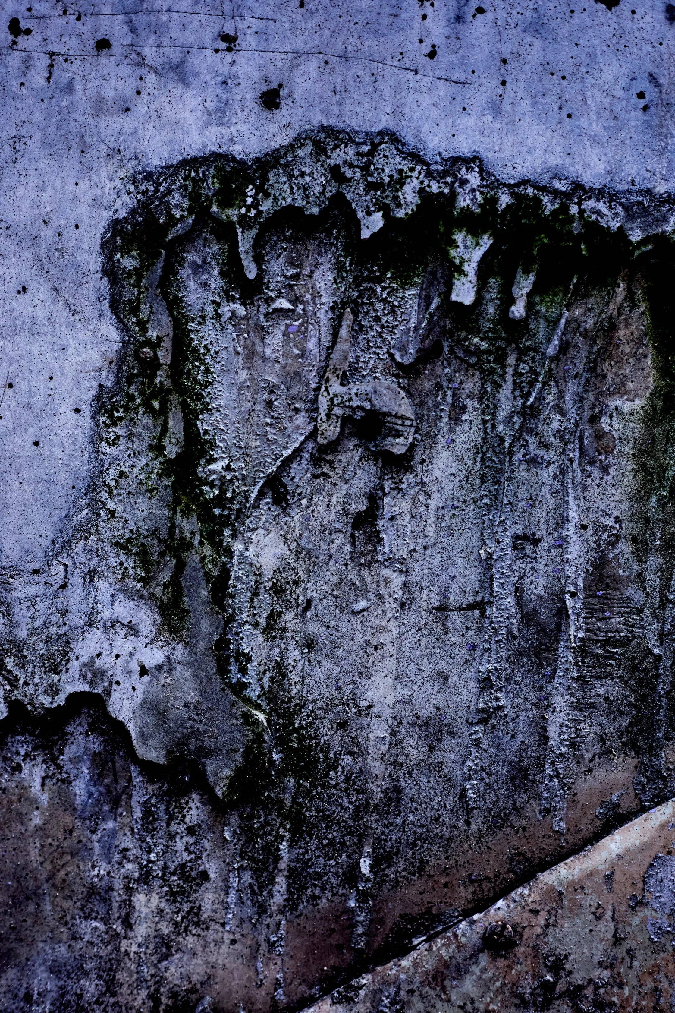 DevWa0H3A8990_ 1.jpg