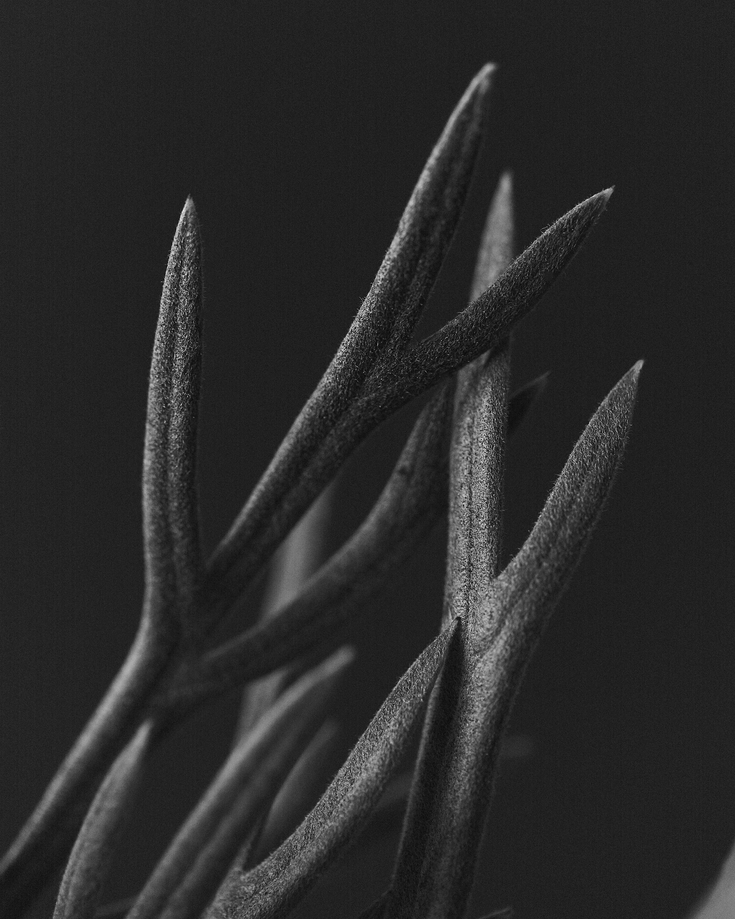 balance0339.jpg