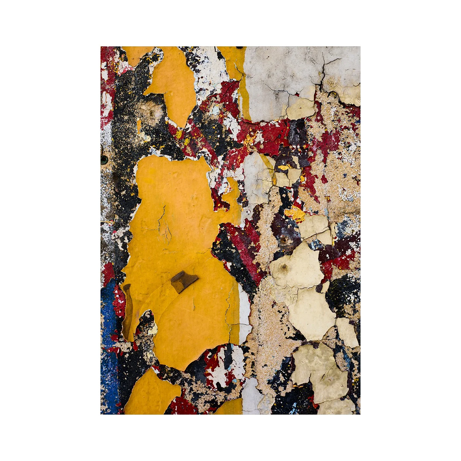 Scattered Blue and Yellow #2 no border.jpg