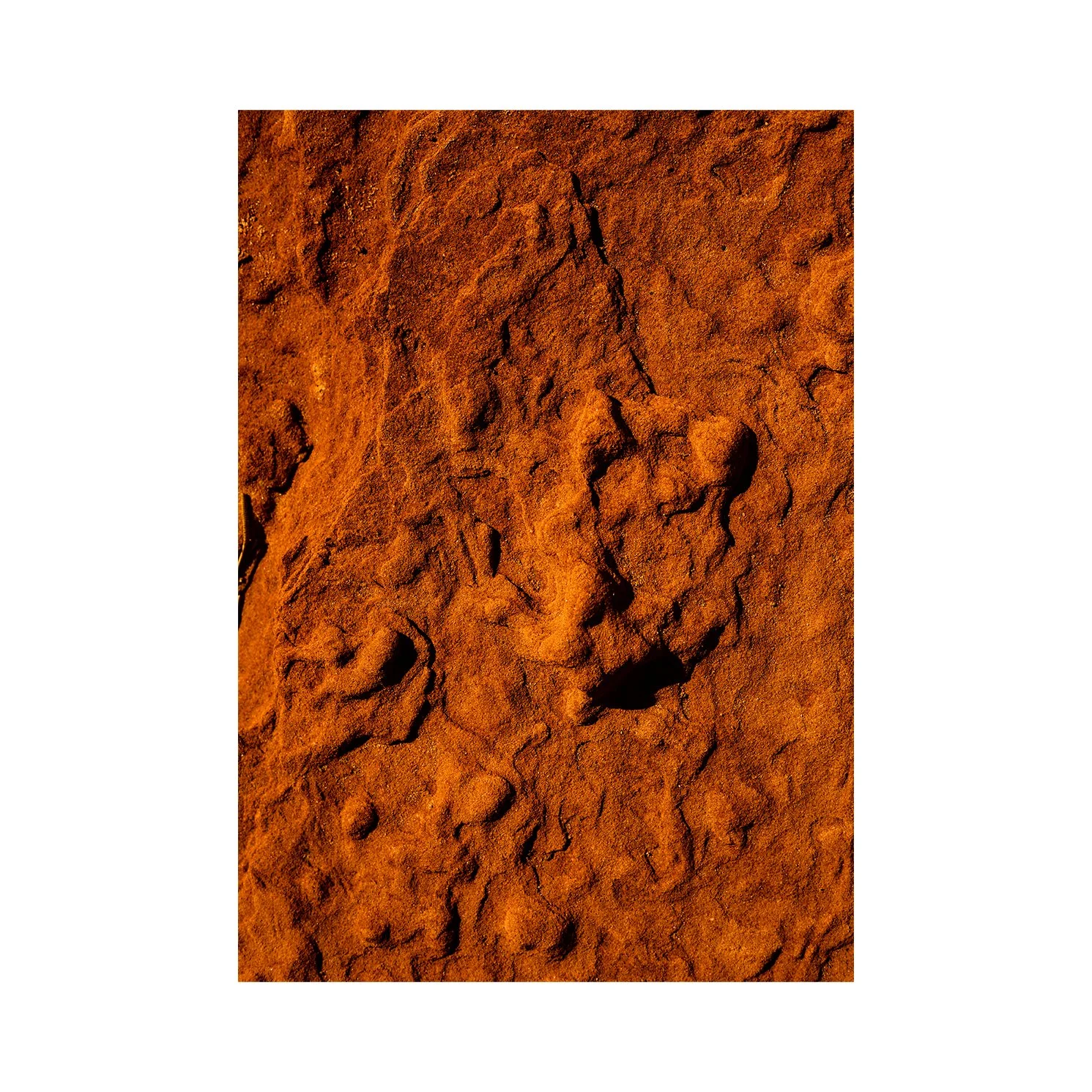 Earth A3 No Border.jpg