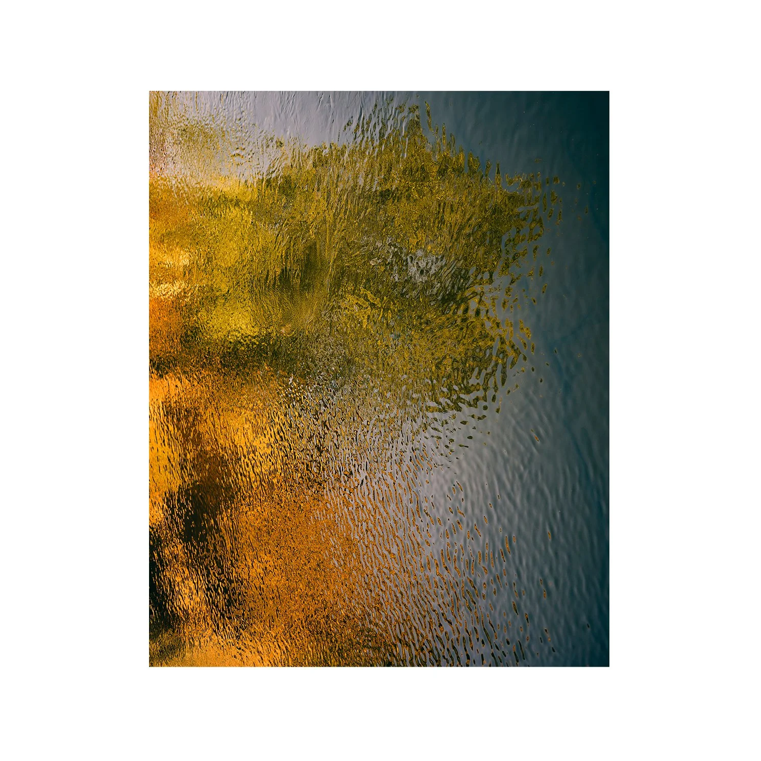 Refelection #1 8x10 no border.jpg