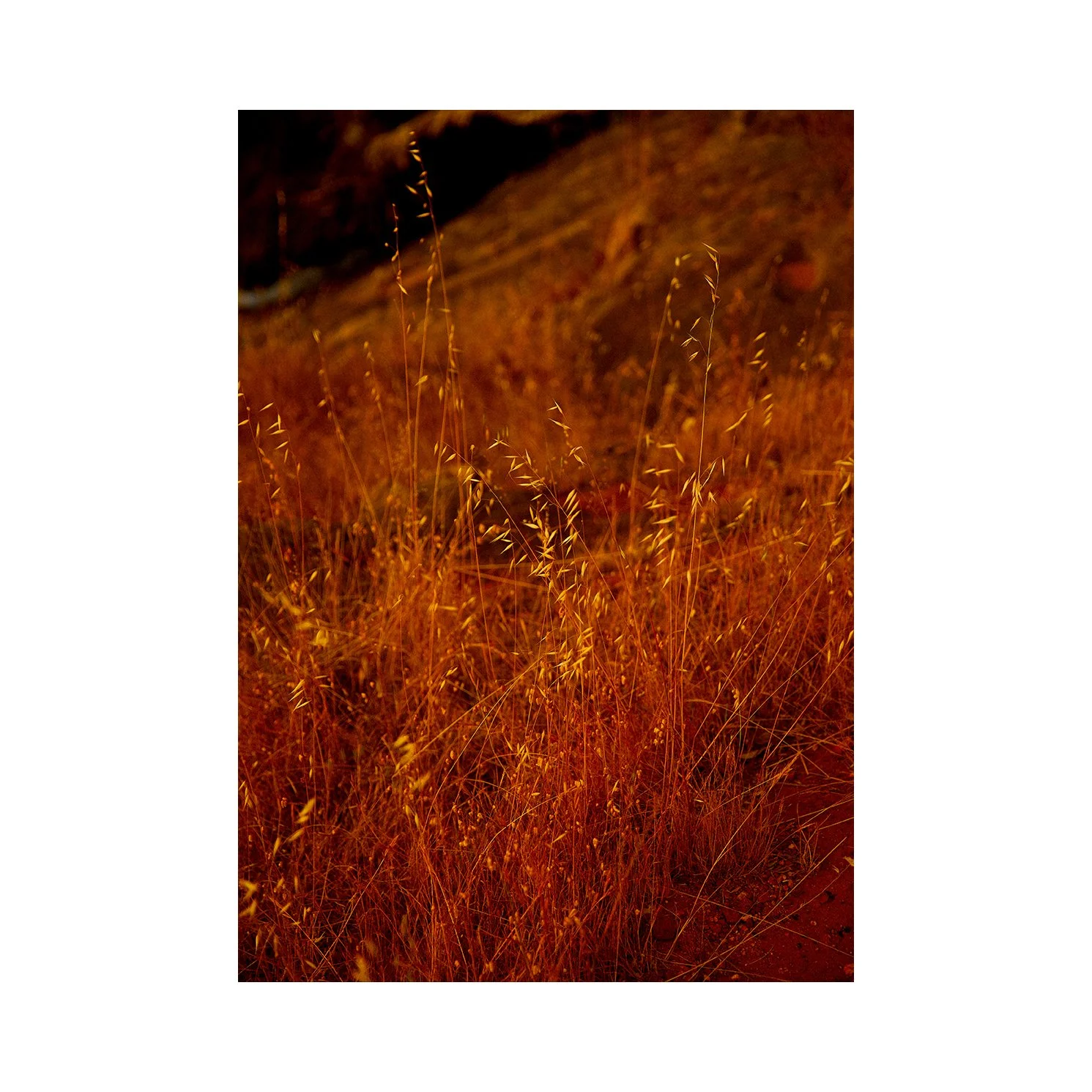 Resonance #3 no border.jpg