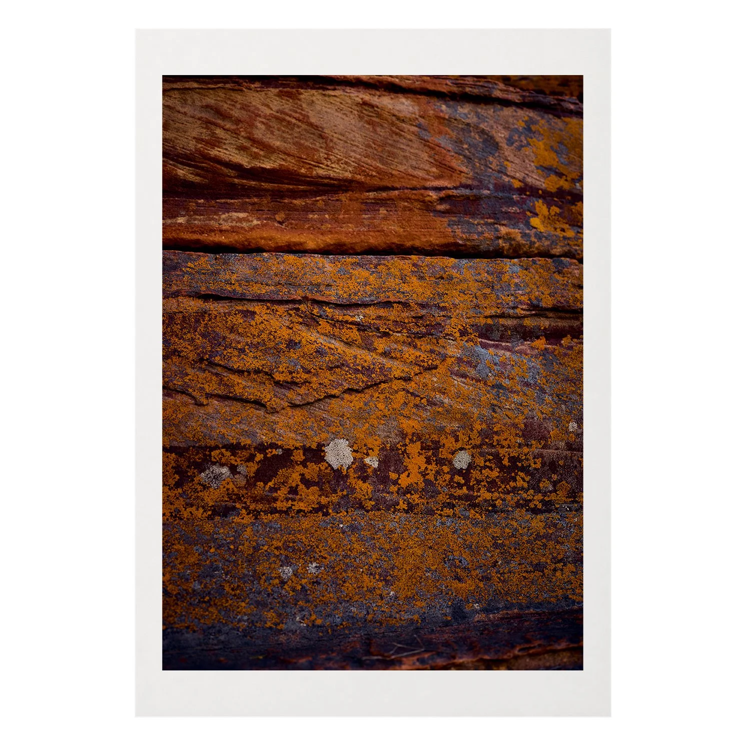 Orange Blossom A3 Border.jpg