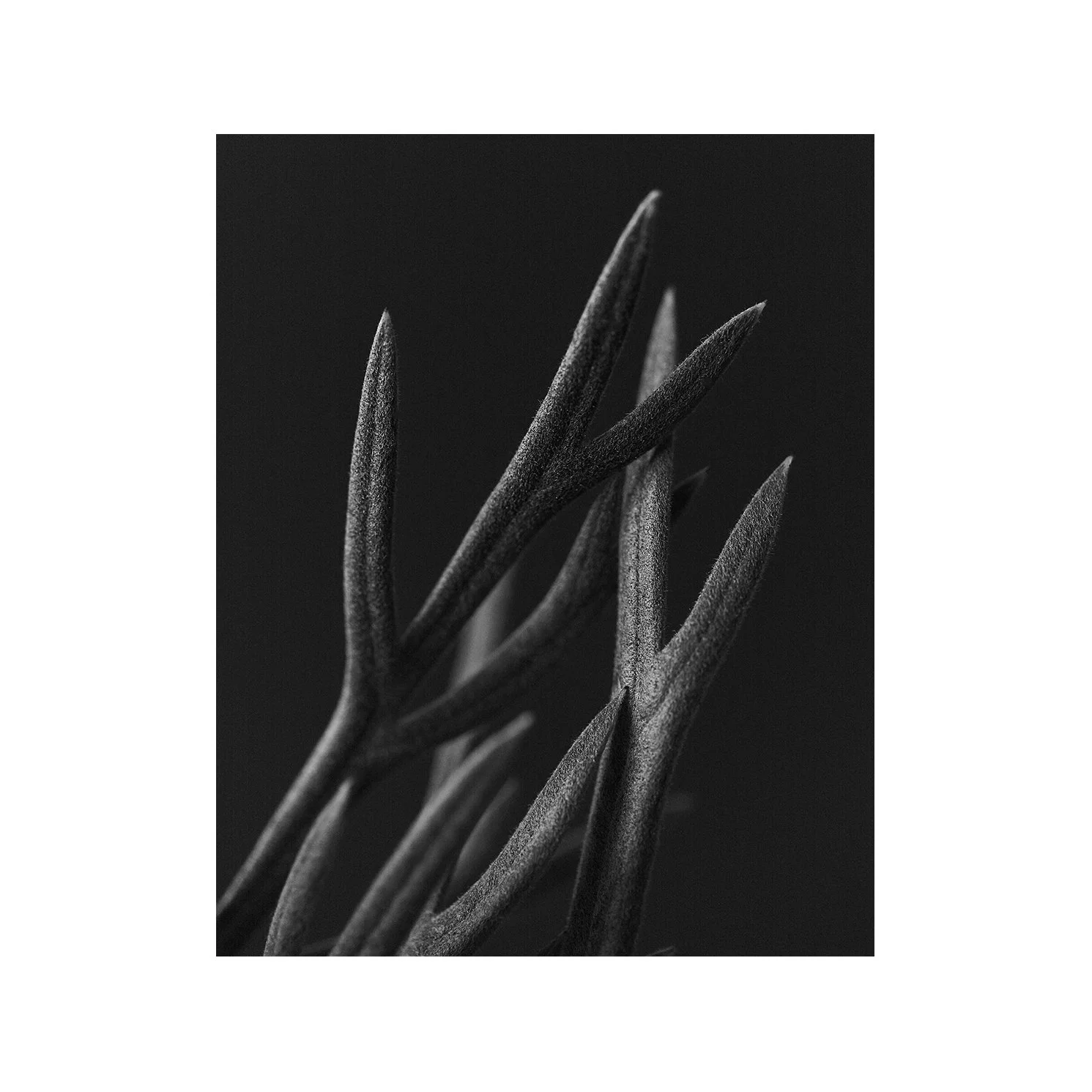 touch 8x10 no border.jpg