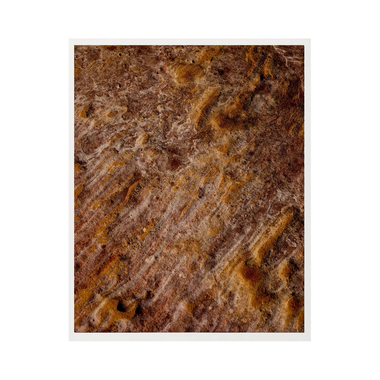 Earth #2 8x10 border.jpg