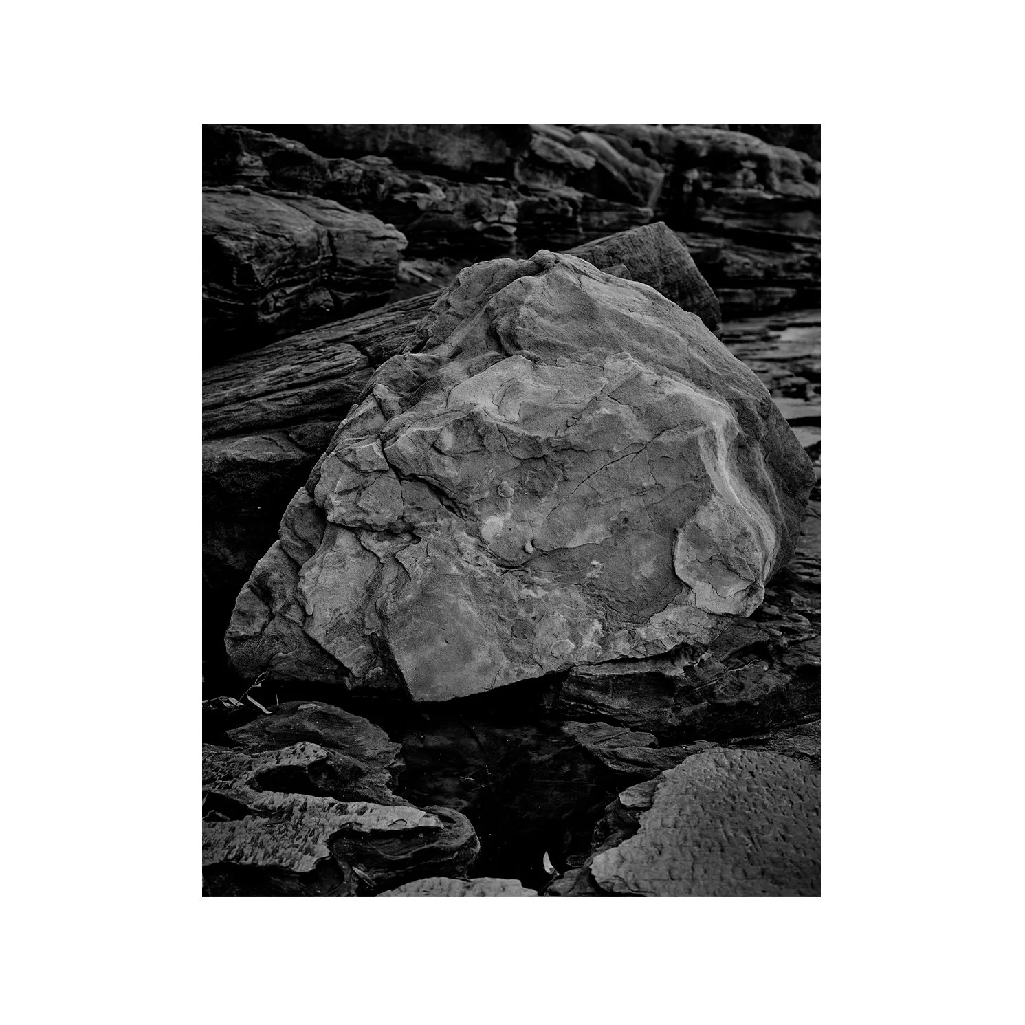 spartan 8x10 no border.jpg