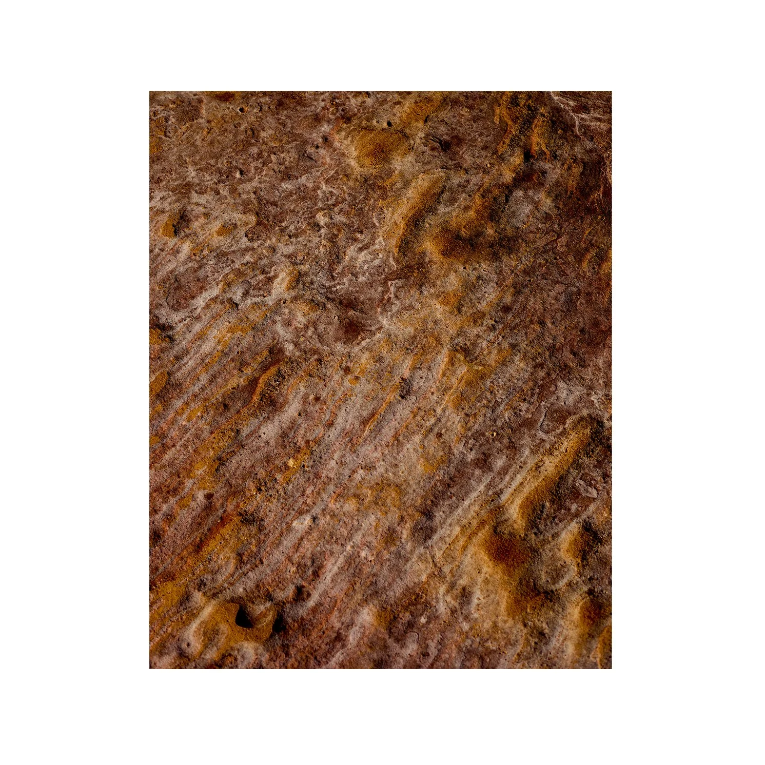 Earth #2 8x10 no border.jpg