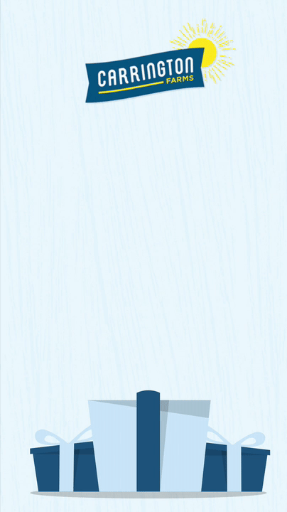 CF_Black Friday Sale_IG Story.gif