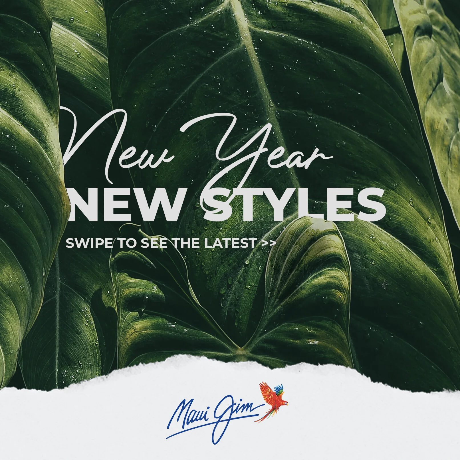 01_MJ_Monthly Round Up_Front.jpg