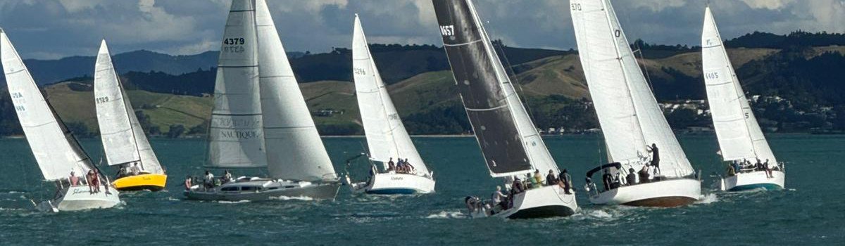 web banner2.jpg