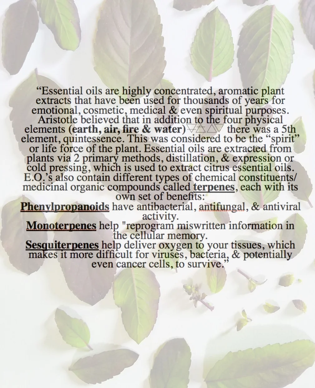 essential oil 3.jpg