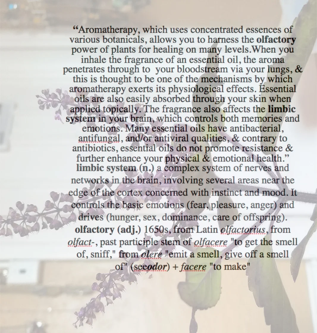 ESSENTIAL OIL 4.jpg