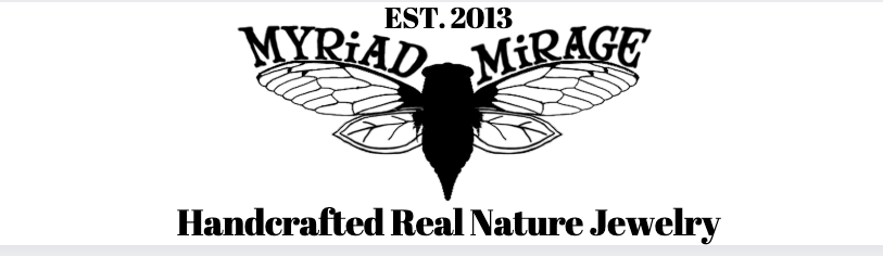 NATURES - Mirage