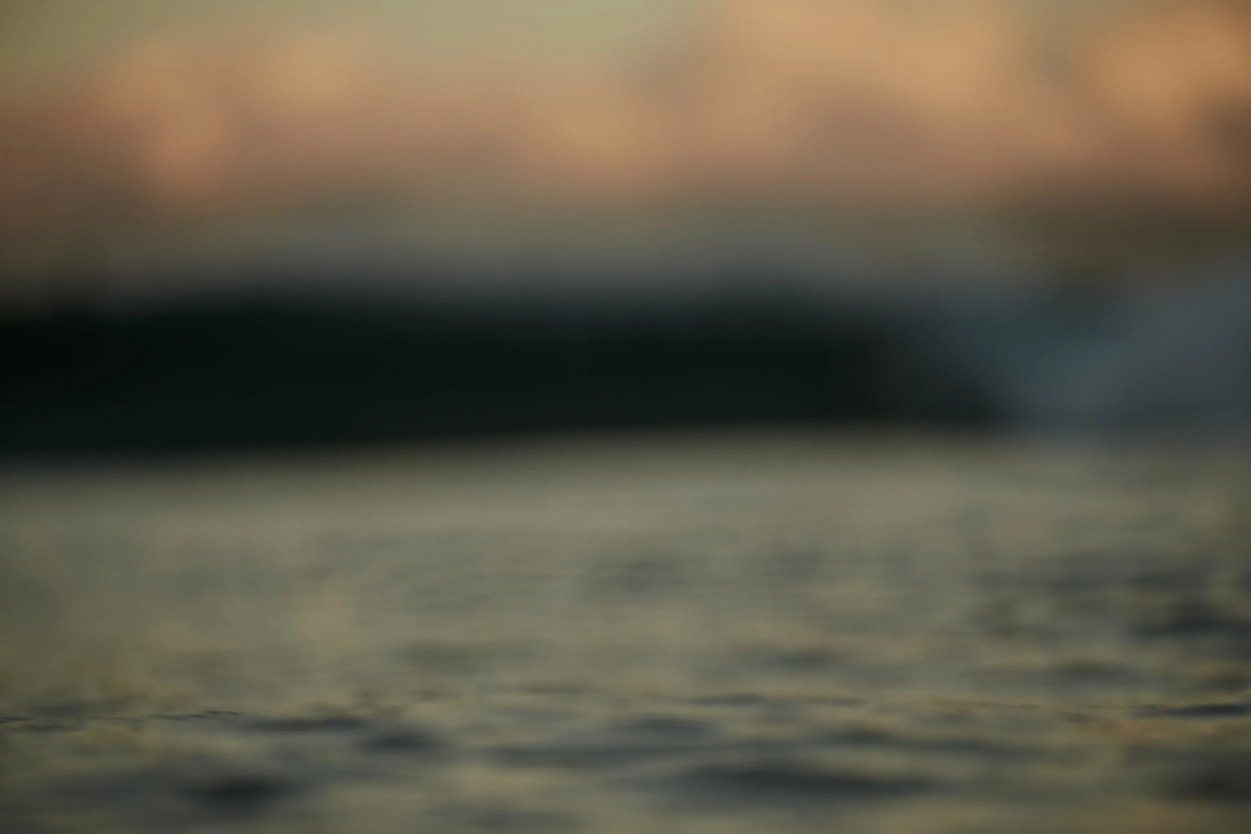 Honolua_Dec2_0127.jpg