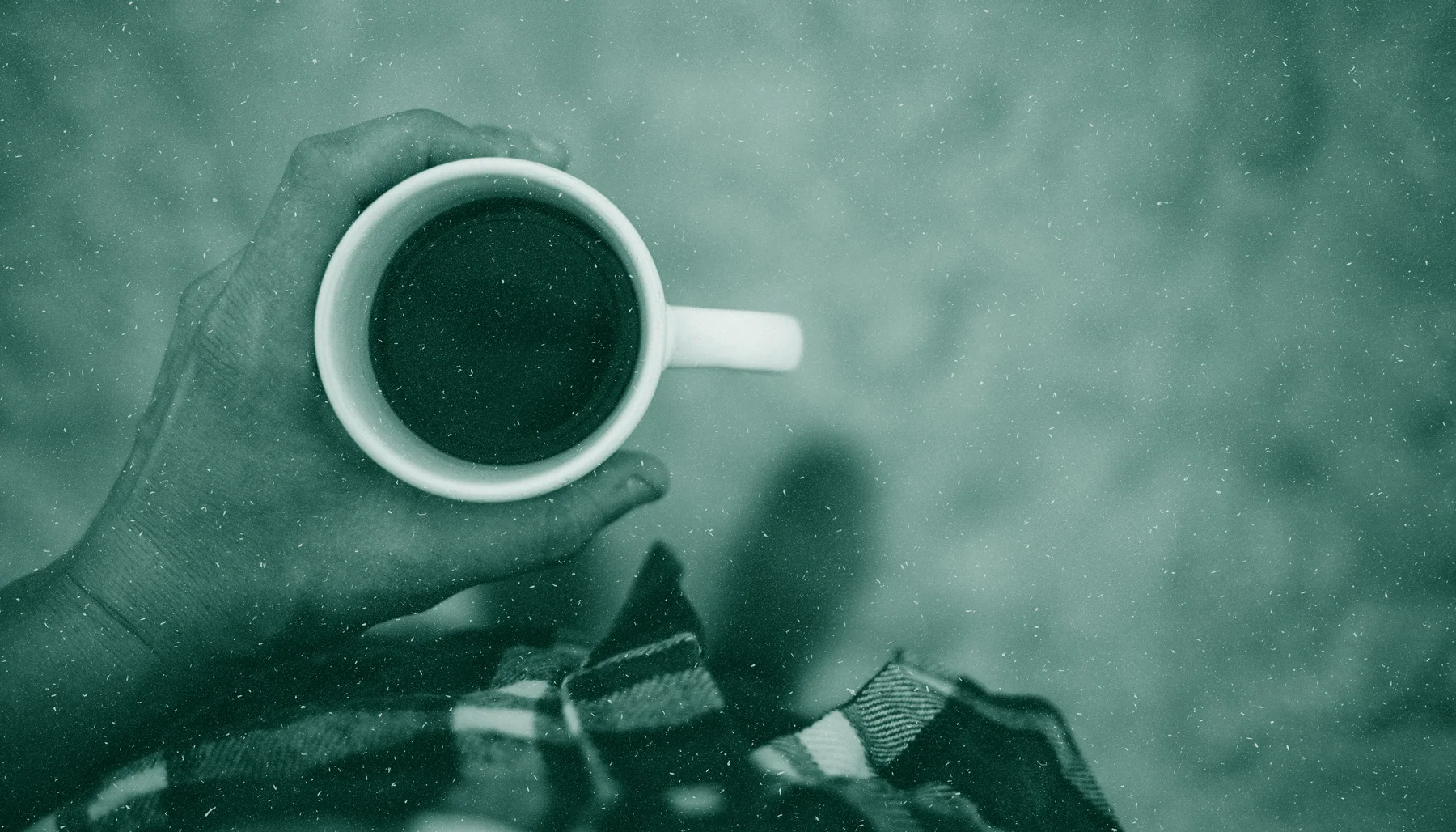 boganbarista_banner.jpg