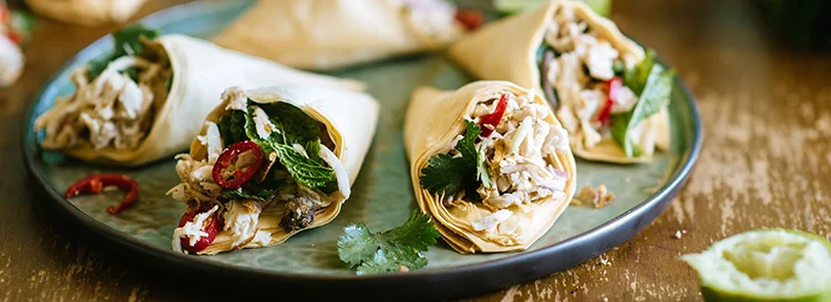 Fillo Cones with Thai Chicken Salad