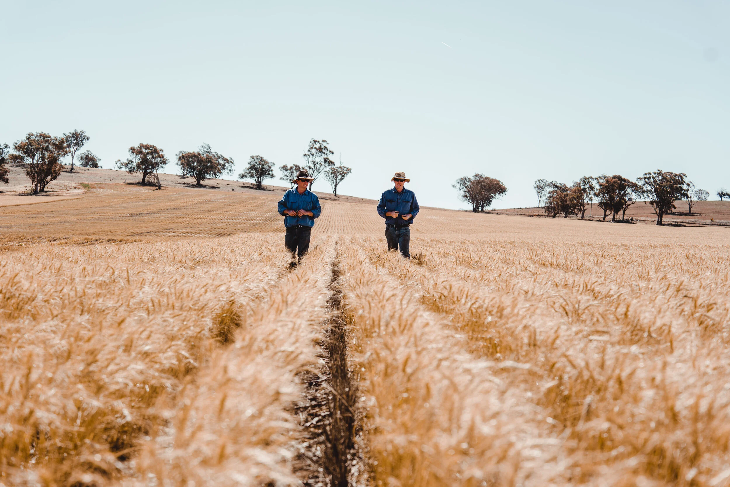QUALITY AUSTRALIAN INGREDIENTS