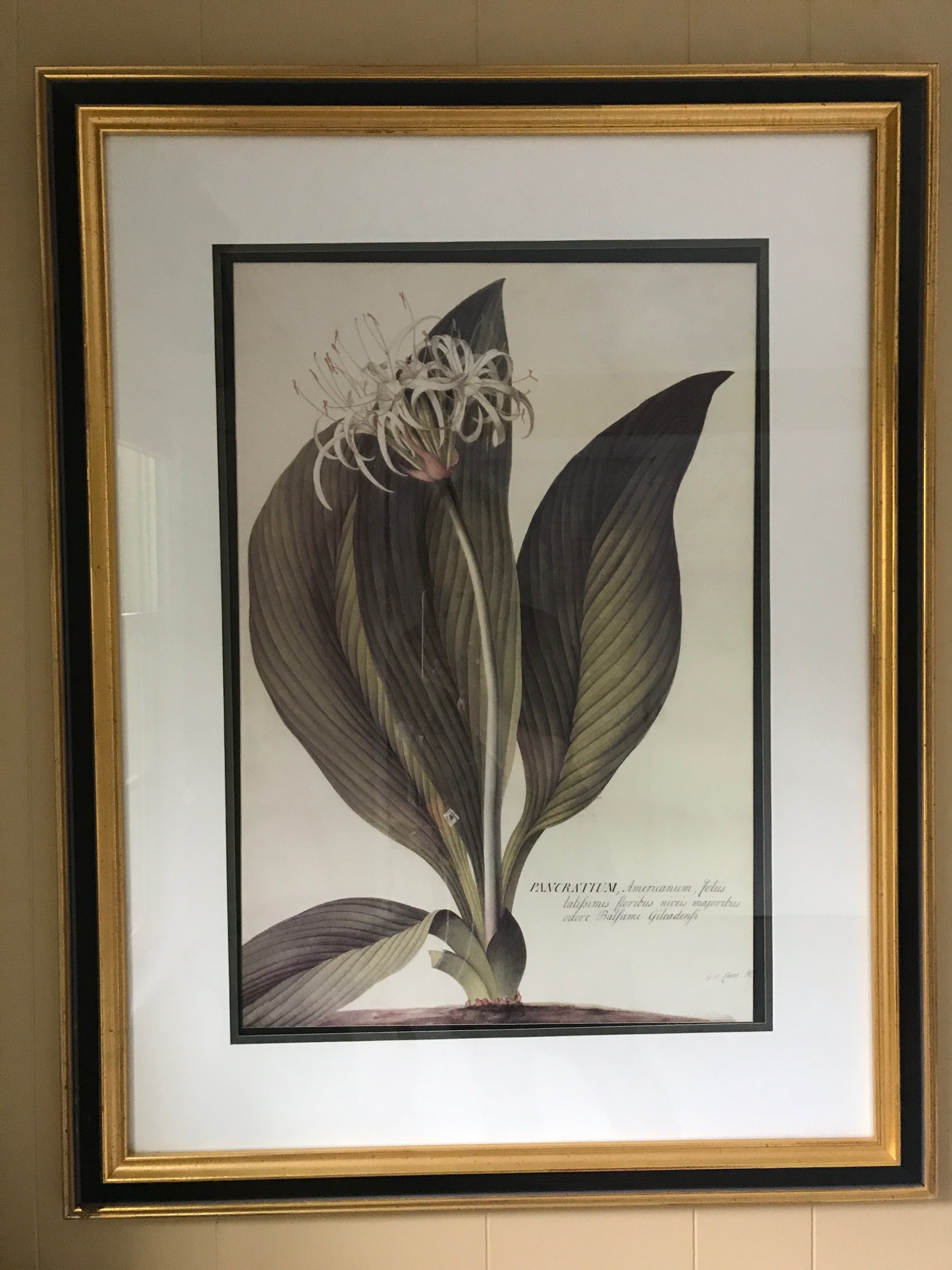 Large black & gold frame art