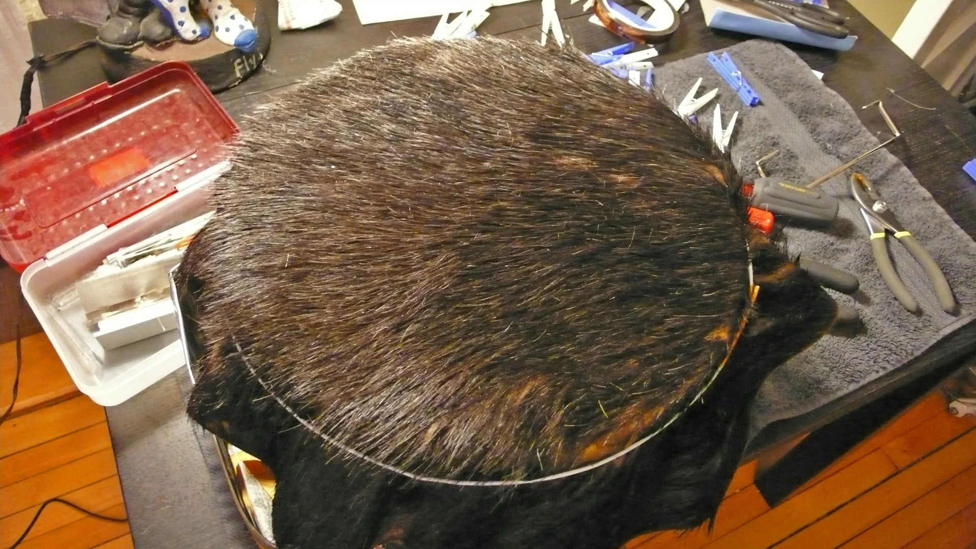 P1210830.jpg