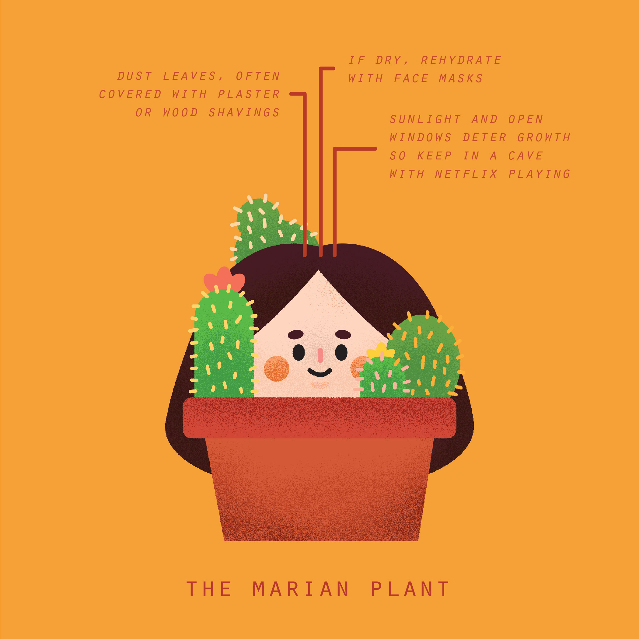 ROOMPLANTS-03.jpg