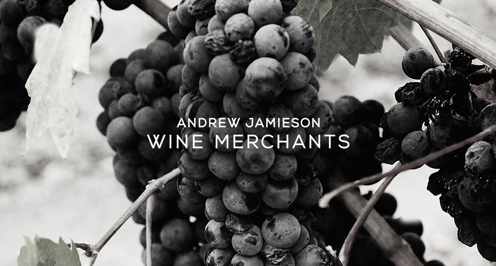 Andrew Jamieson Wine Merchants