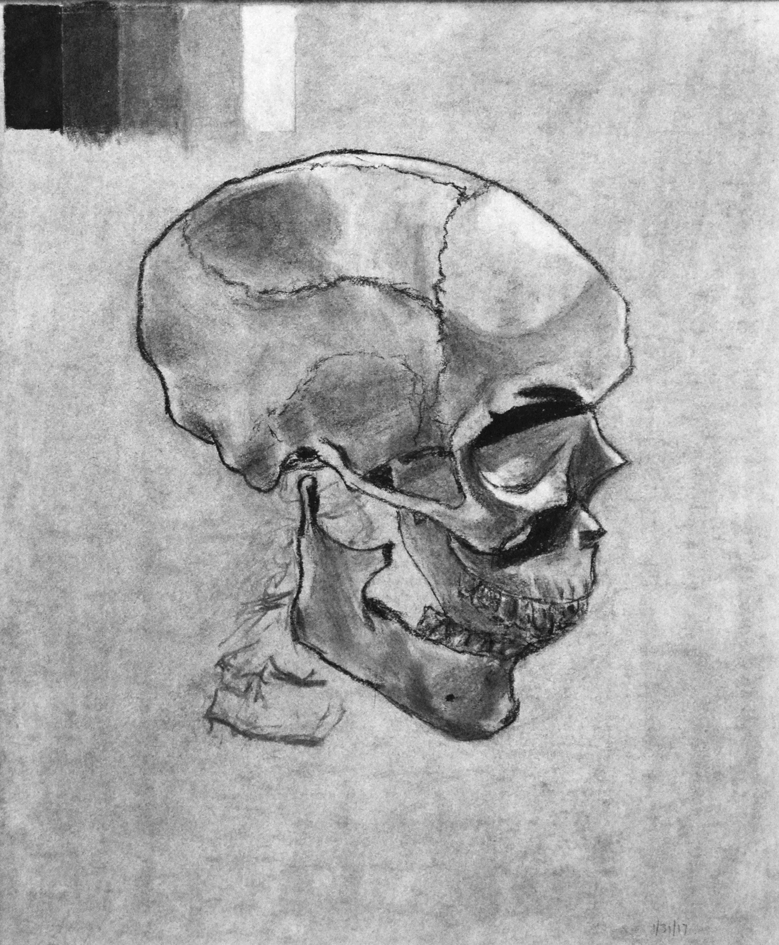 skull.jpg