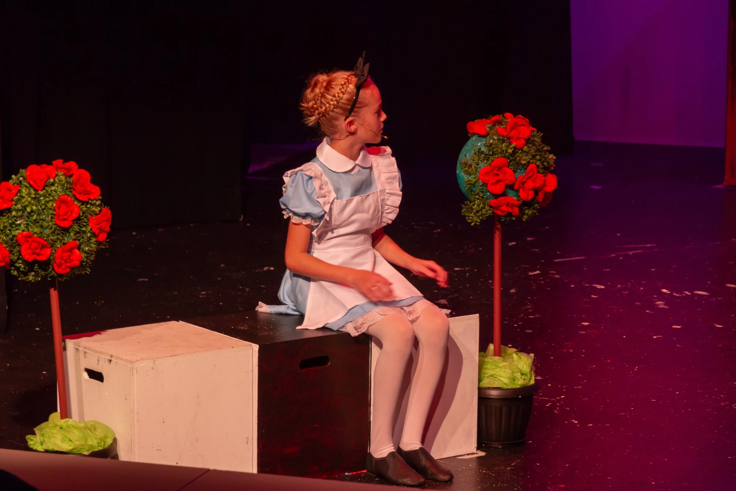 Alicegroup2-195.jpg
