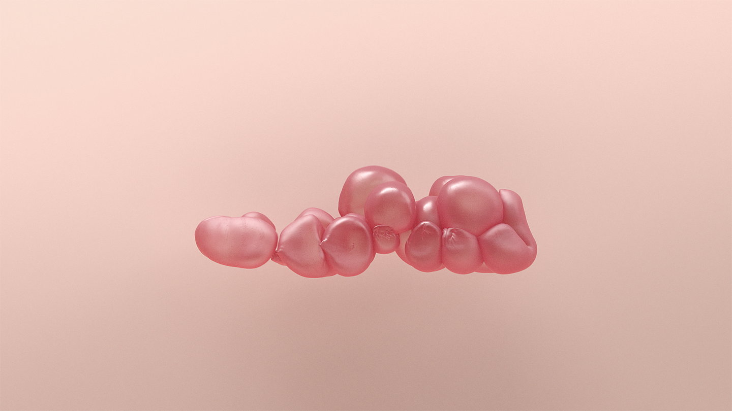 05.png