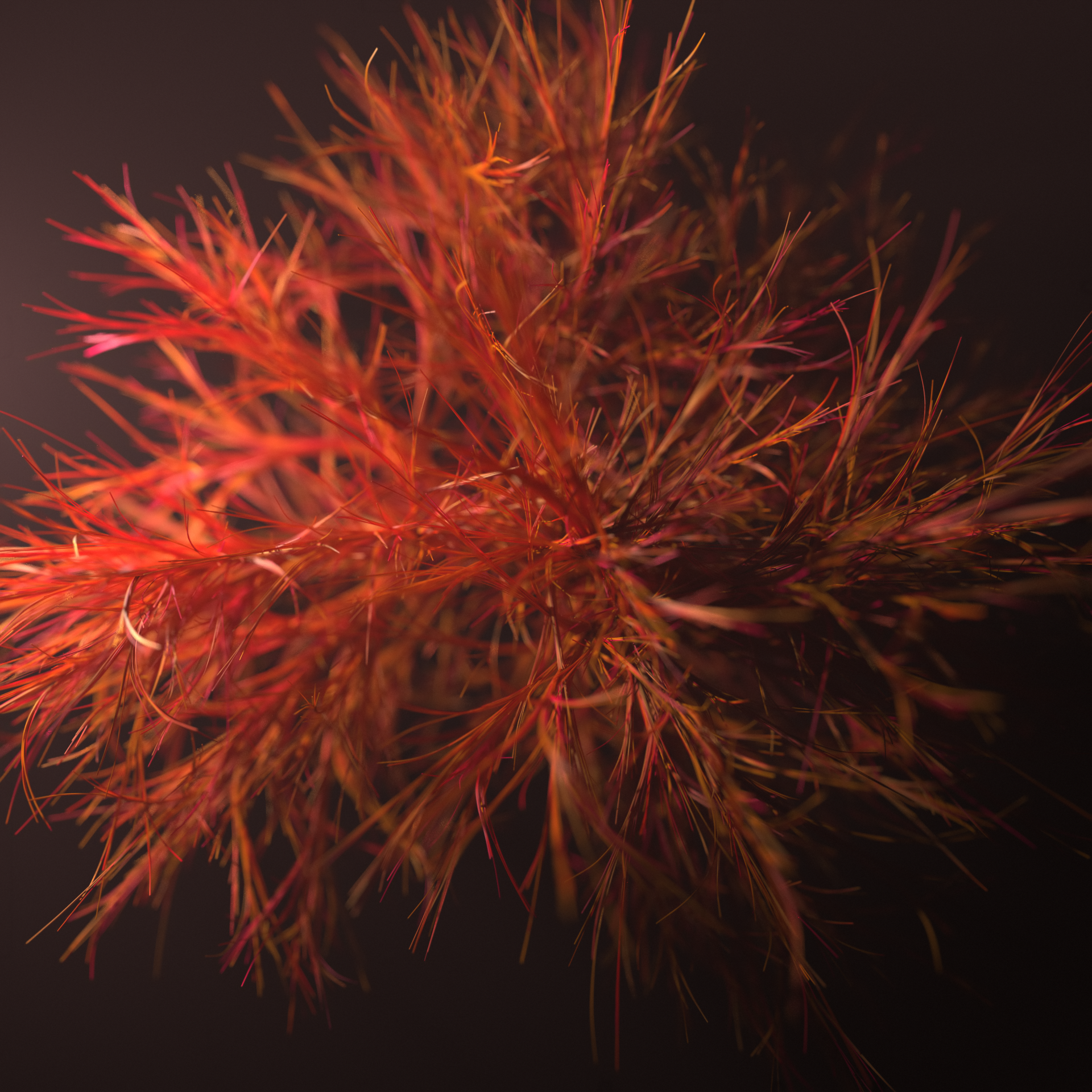 MERC_00004.png
